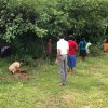 සුරකිමු ගංඟා ජාතික වැඩසටහන 